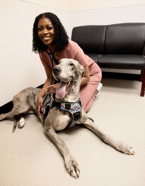 Dr. Lauryn Gant, Veterinarian