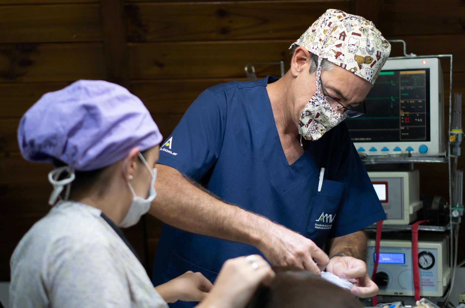 A veterinary surgical team during a procedure
