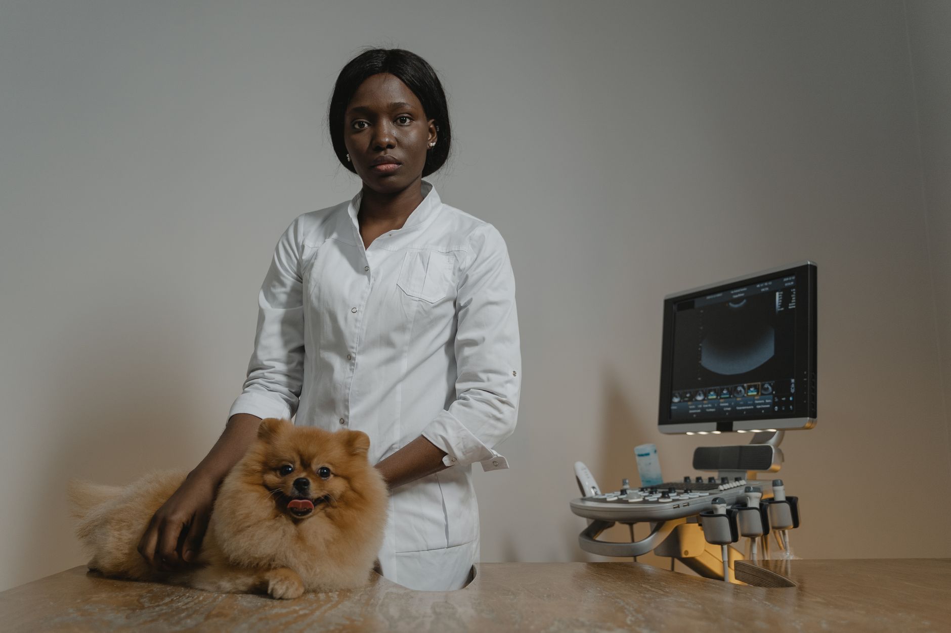 A veterinarian with a small dog beside an ultrasound machine