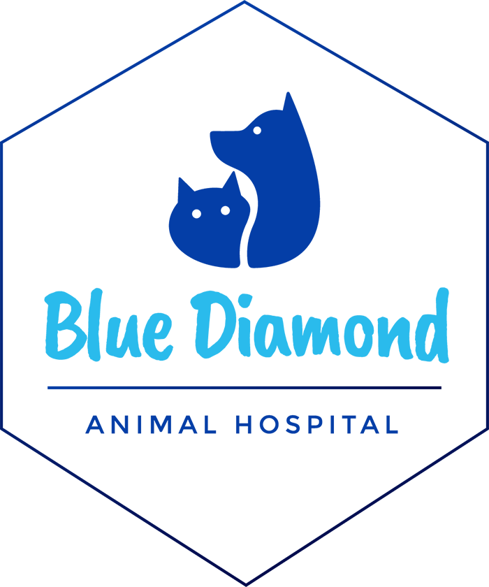 Las Vegas, NV 89178 Veterinary Hospital Blue Diamond Animal Hospital