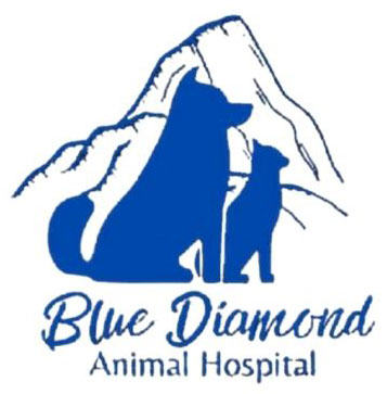 Blue Diamond Animal Hospital