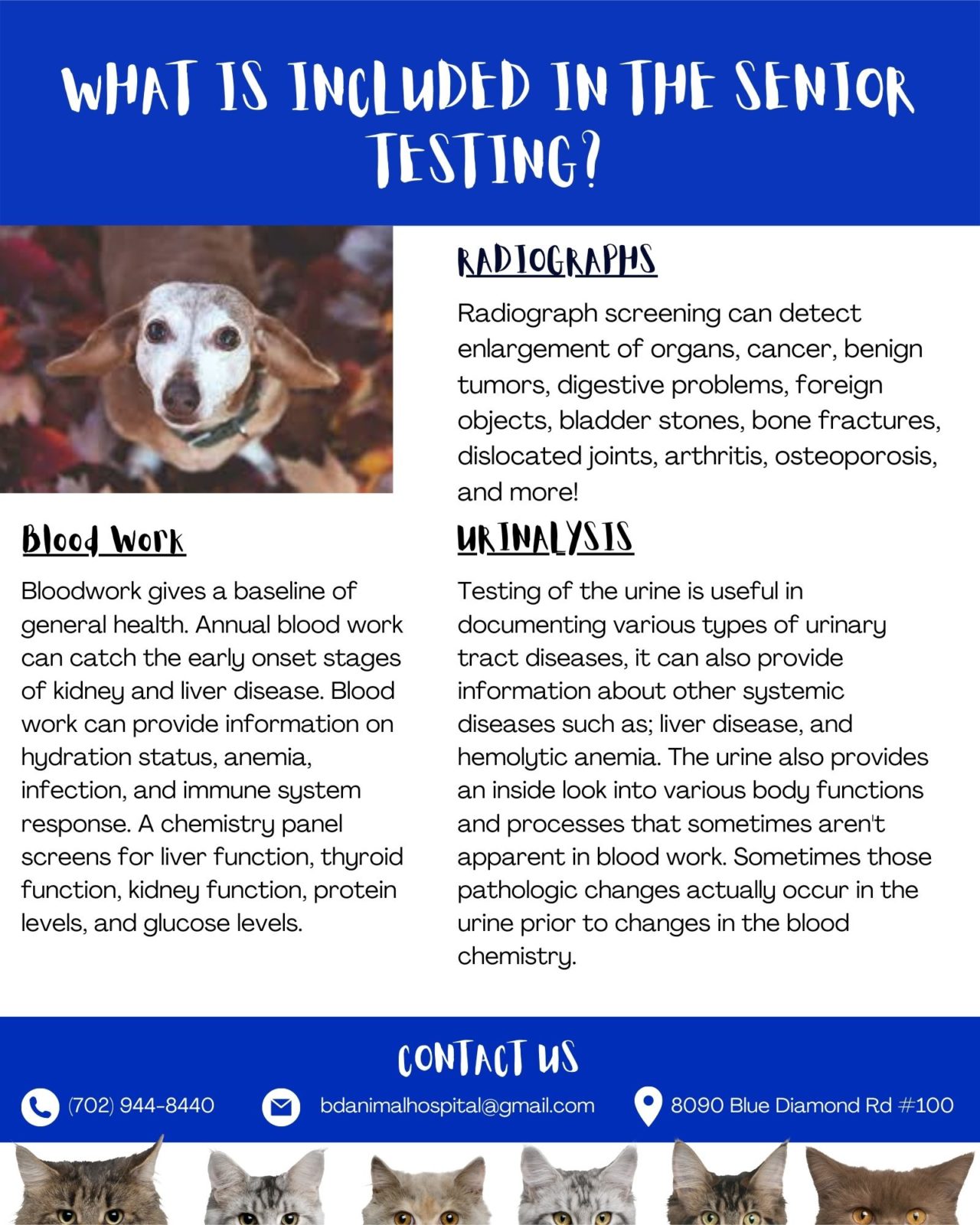 Las Vegas, NV 89178 Veterinary Hospital Blue Diamond Animal Hospital