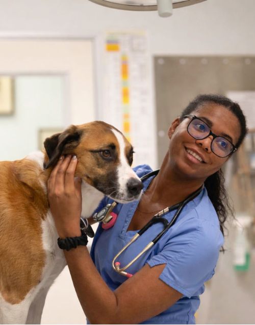 Dr. Cassia Bryce Hazel